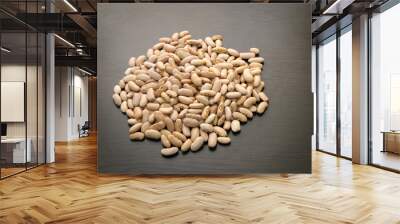 Arikara yellow  local bean seeds. Dried bean seeds on dark background. Wall mural