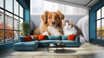 Cat and dog together on the sofa Wall mural