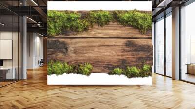 Old wood board with green moss isolated on transparent background Wall mural