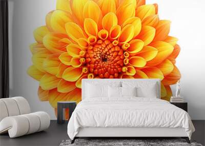 Orange dahlia flower isolated on transparent background, top view Wall mural