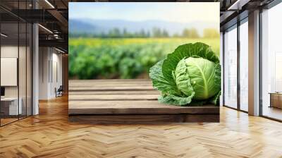 Ripe cabbage on the wooden table with the green field on background Wall mural