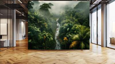 River in rainforest, aerial view Wall mural