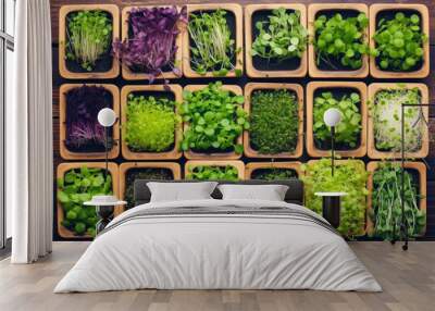 Trays with various microgreens standing on wooden table, top view, Generative AI Wall mural