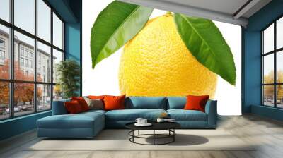 Twig with lemon and two leaves isolated on transparent background Wall mural