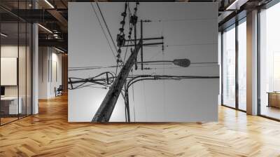 power lines - 02 Wall mural