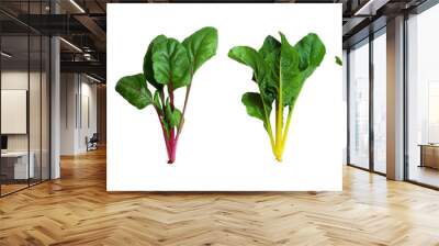 Fresh Swiss chard isolated on white background. Wall mural