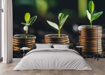 Green seedlings growing from stacks of coins on dark soil. Wall mural