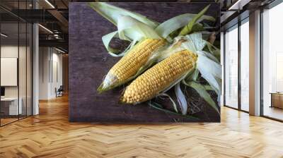 Corn Wall mural