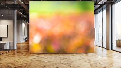 Image of green blurred garden background. Wall mural