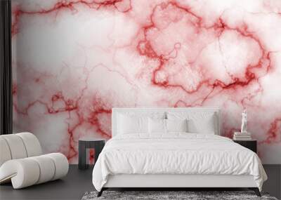 Texture of a blood vessel. Wall mural