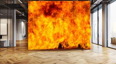 Large flame  Fire rages, For burning The burning for background Wall mural