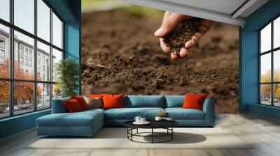 Expert hand of farmer checking soil health before growth a seed of vegetable or plant seedling. Gardening technical, Agriculture concept. Wall mural