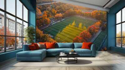 soccer field in bird eye view Wall mural