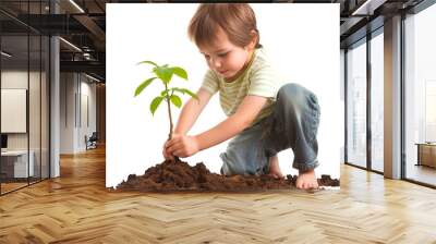 A little boy planting a tree. Wall mural