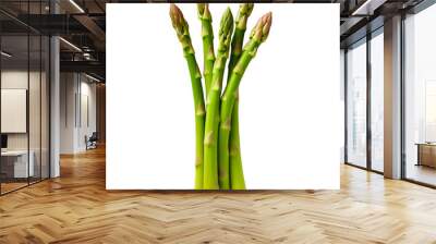 asparagus on a transparent background Wall mural