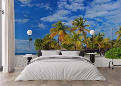 Beautiful palm trees and hammock on Palm Island beach Wall mural