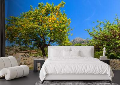 Lemon tree in spring in Deia village, Majorca island, Spain Wall mural