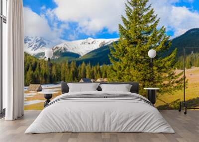 Meadow with blooming crocus flowers in Chocholowska valley, Tatra Mountains, Poland Wall mural