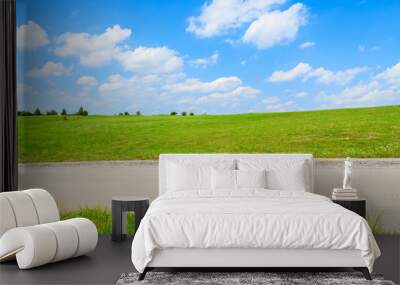 road in green fields with white clouds on sunny blue sky, poland Wall mural