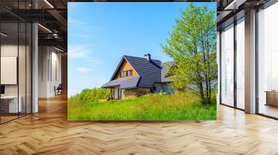 Side view of a house on green meadow during spring in countryside landscape near Krakow city, Poland Wall mural