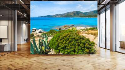 Tropical plants on coast of Sardinia island, Campulongu beach Wall mural