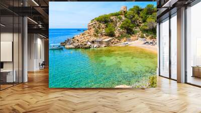 View of beautiful Cala Carbo bay with emerald green sea water, Ibiza island, Spain Wall mural