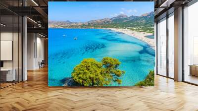 View of Ostriconi beach with beautiful sea lagoon, Corsica island, France Wall mural