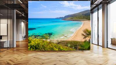 View of sandy Cala Mesquida bay with beach, Majorca island, Spain Wall mural