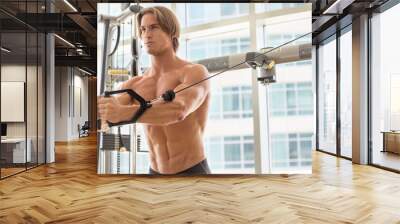 Handsome man working out training chest with a cable machine at the gym. Wall mural