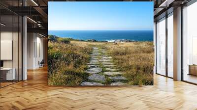 Breathtaking Coastal Lookout with Stone Path and Serene Ocean Horizon Wall mural