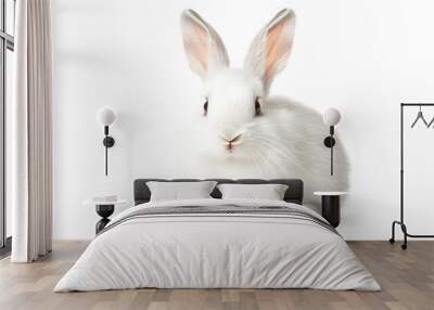 Fluffy White Rabbit with Perked Up Ears Sitting on White Background Wall mural