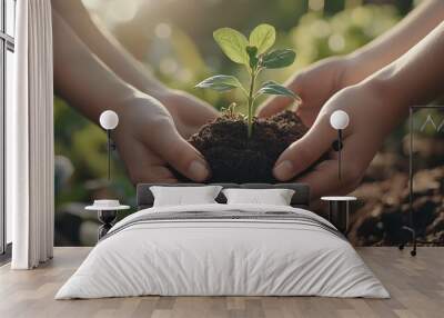 Hands Gently Holding and Protecting Young Plant Sprout Emerging from Soil Wall mural