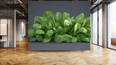 Organic Spinach Freshly Picked 3D for Photography Wall mural