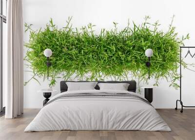 Vibrant green plant groundcover with lush foliage in natural setting Wall mural