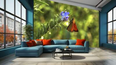 papillon 2 Wall mural