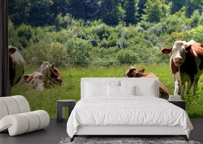 vaches 2 Wall mural