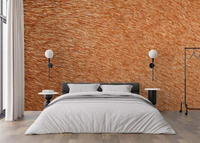 Brown deer fur used as a background image,Fur background, brown background Wall mural