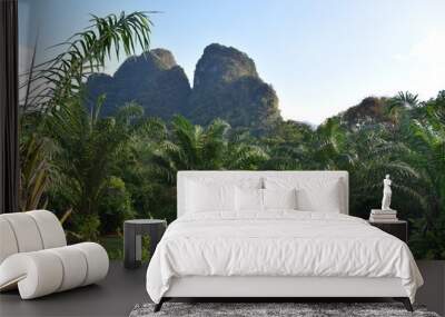 Mountains and palm trees in a garden in Khao Sok National Park in Thailand, Asia Wall mural