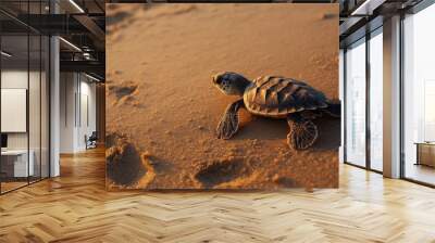 A baby sea turtle hatching from its egg on a sandy beach, making its way toward the ocean for the first time, with small footprints left behind in the sand. Wall mural