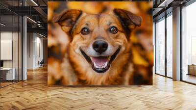 A close-up of a dog face with a big smile, surrounded by autumn leaves, emphasizing the happiness that pets bring into our lives Wall mural