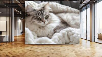 A close-up of a plump, fluffy cat lounging comfortably on a soft blanket, showcasing its round belly and relaxed demeanor against a cozy backdrop Wall mural