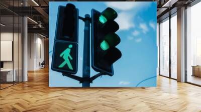 A traffic light pole with directional signs and signals for vehicles and pedestrians Wall mural