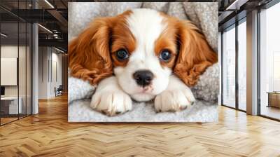 Adorable puppy resting on cozy blanket Wall mural