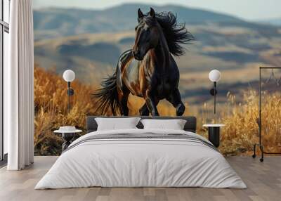 black horse running in the field Wall mural