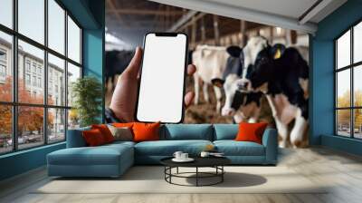 Farmer using a smartphone in a cow barn, illustrating modern agricultural practices and the use of technology for livestock management and farm efficiency.. Wall mural