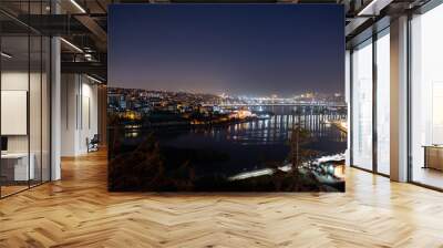 City lights, a view of a bridge and streetlights illuminating the dark city, long exposure and strip lights, noise effect, Istanbul,Turkiye,01-30-2022 Wall mural