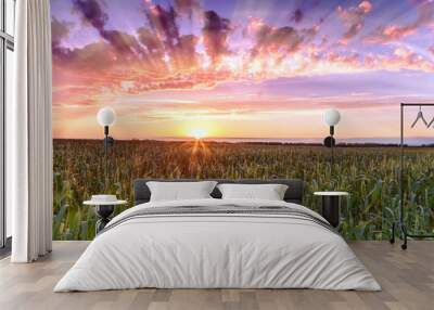 sunset over wheat field sun rays. Wall mural