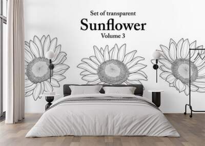 A series of isolated flower in cute hand drawn style. Sunflower in black outline on transparent background. Drawing of floral elements for coloring book or fragrance design. Volume 3. Wall mural