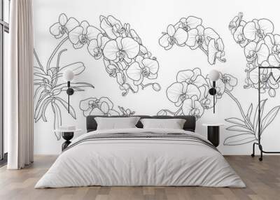 Set of isolated orchid branch in 5 styles set 2. Wall mural