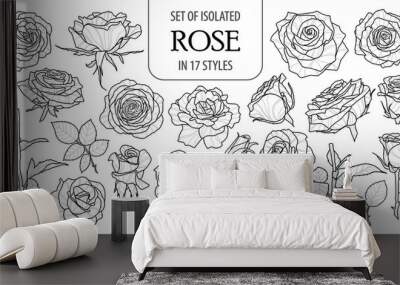 Set of isolated rose in 17 styles. Cute flower illustration in hand drawn style. Black outline and white plane on white background. Wall mural